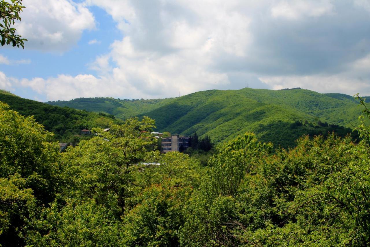 Lilia Guesthouse Sighnaghi Εξωτερικό φωτογραφία